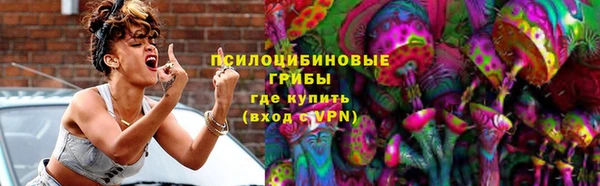 не бодяженный Алексин