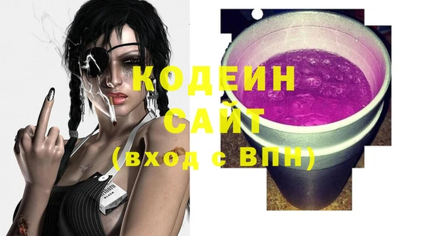 ECSTASY Алзамай