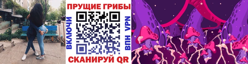 где купить Старая Купавна Галлюциногенные грибы Magic Shrooms